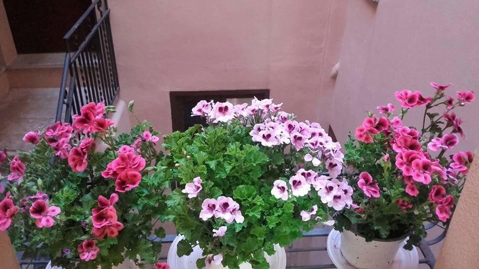 B&B Arco Dell'Orologio Trapani Zewnętrze zdjęcie